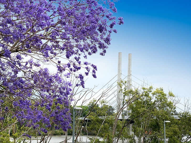 11/1 Livingstone Street, Yeerongpilly QLD 4105