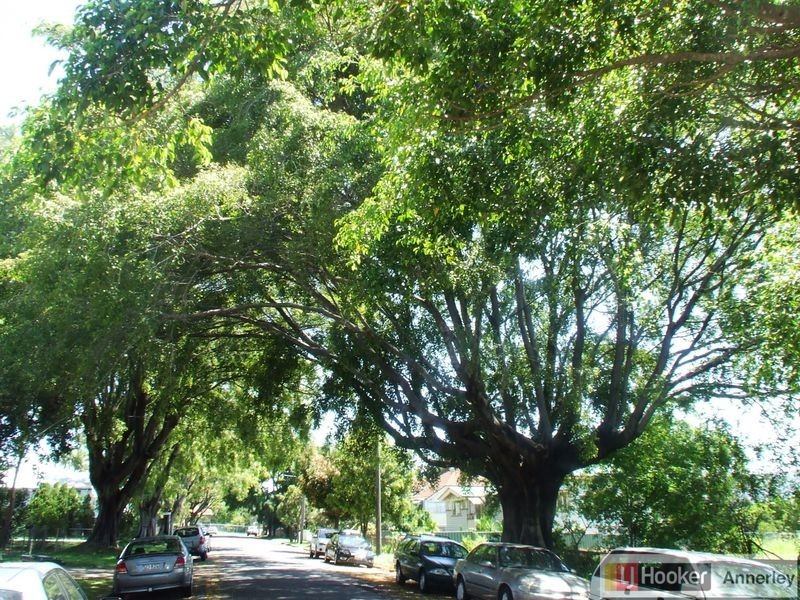 11/2 Blackburn Street, Moorooka QLD 4105