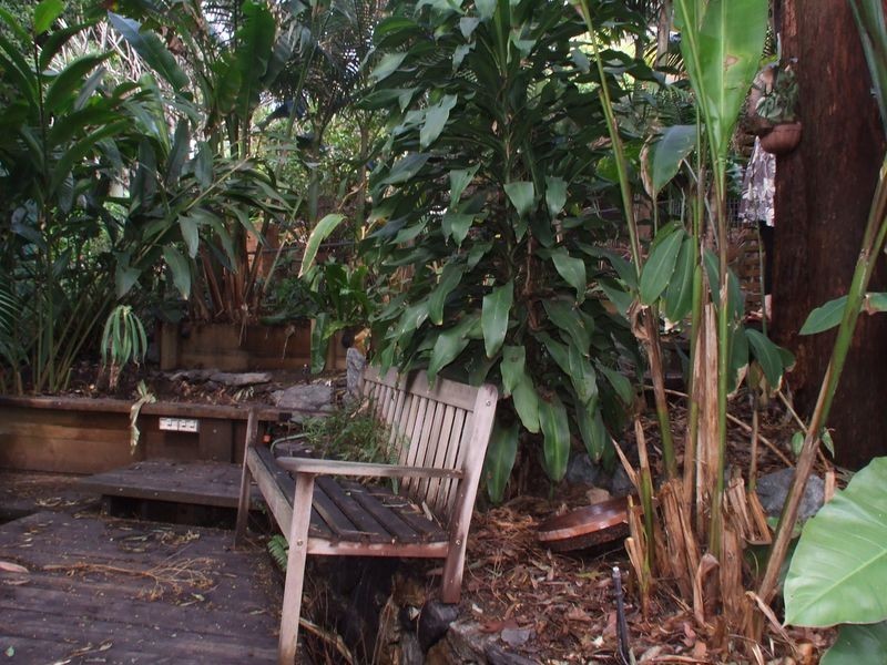 50 Percy Street, Tarragindi QLD 4121