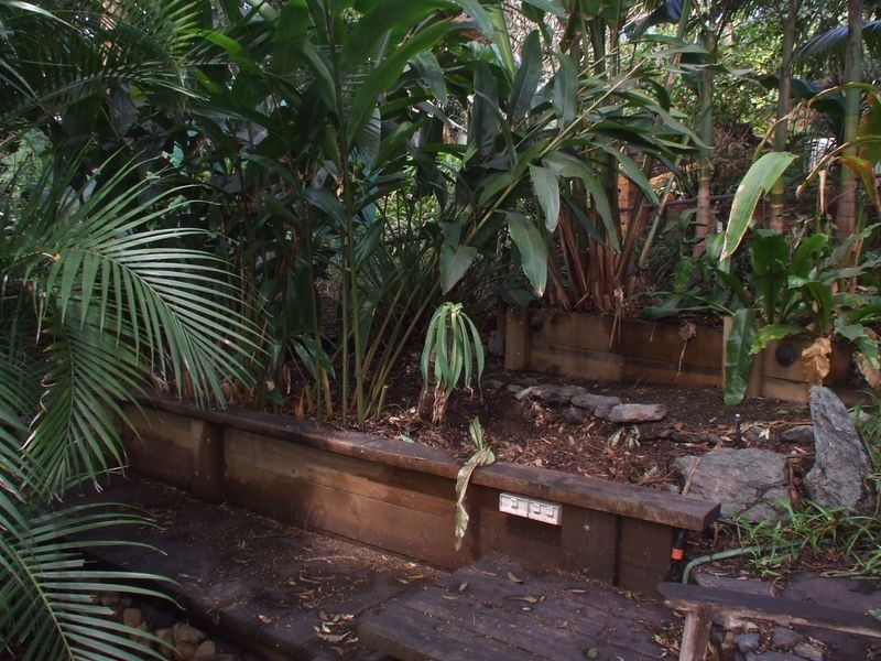 50 Percy Street, Tarragindi QLD 4121