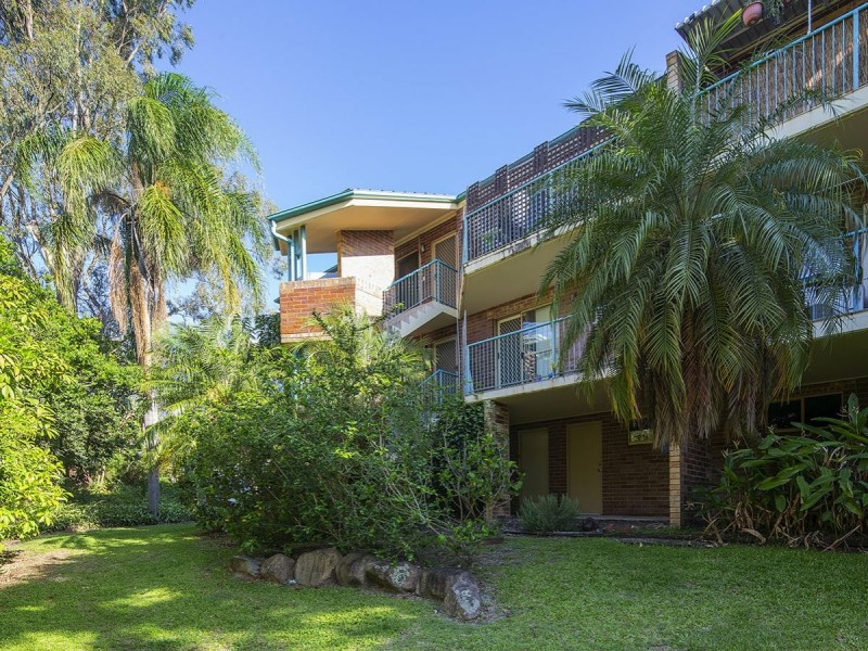 6/49 Wilton Terrace, Yeronga QLD 4104