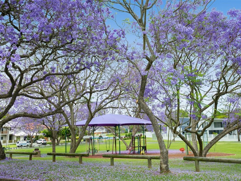 16 Ormonde Road, Yeronga QLD 4104