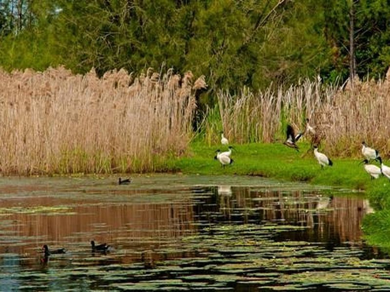 Hope Island QLD 4212