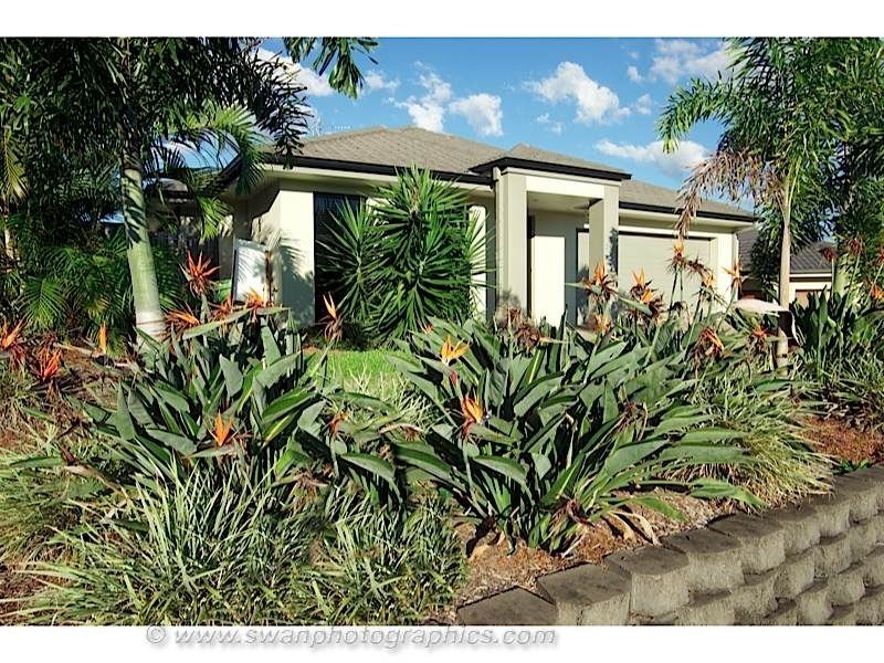 20 Starush Ct, Upper Coomera QLD 4209