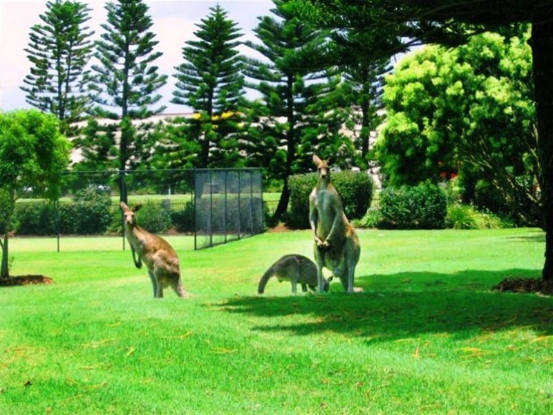 64/19 Santa Barbra Rd, Hope Island QLD 4212