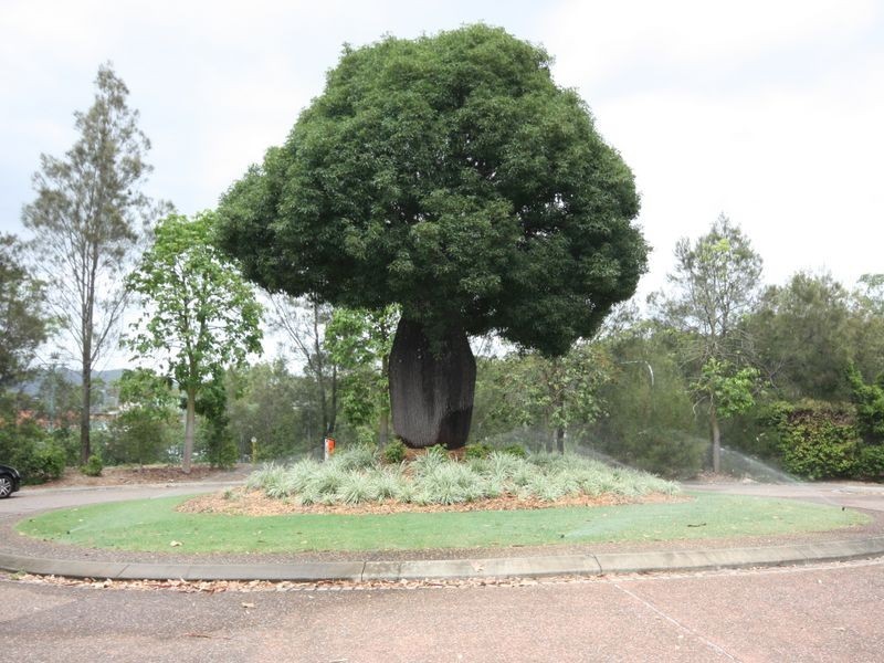 908 Medinah Avenue, Robina QLD 4226