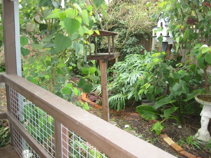 7 Maurice Court, Wantirna South VIC 3152