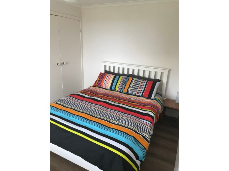 17 Gardner Street, Beech Forest VIC 3237