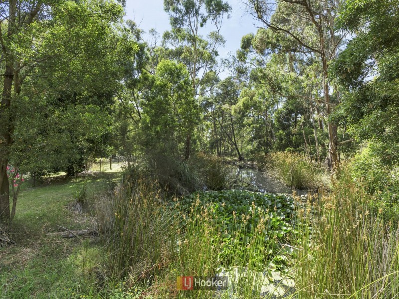1550 Colac-Forrest Road, Yeodene VIC 3249