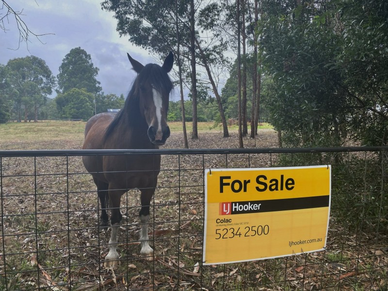 145 Old Beech Forest Road, Gellibrand VIC 3239