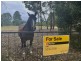 145 Old Beech Forest Road, Gellibrand VIC 3239