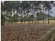 145 Old Beech Forest Road, Gellibrand VIC 3239