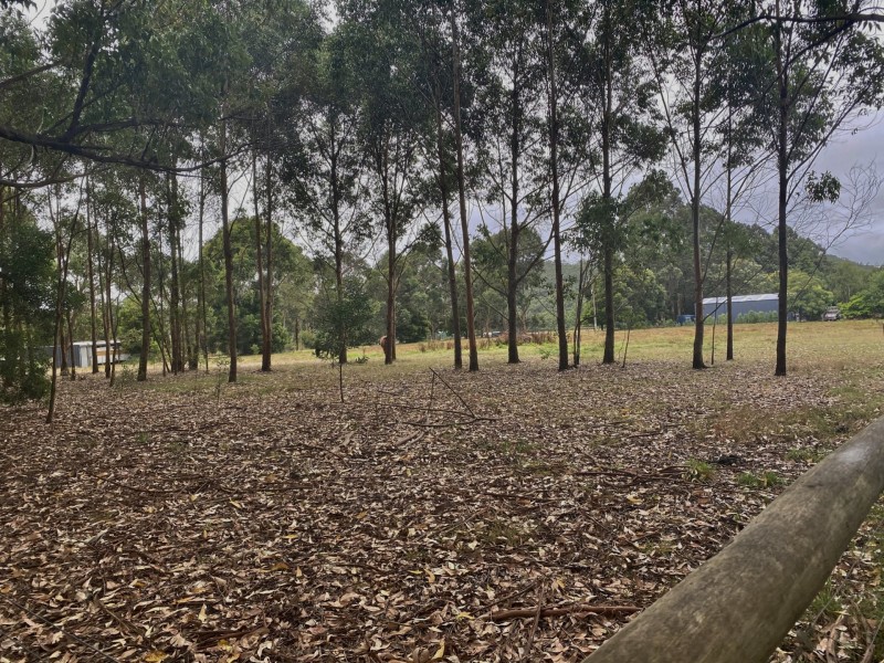 145 Old Beech Forest Road, Gellibrand VIC 3239