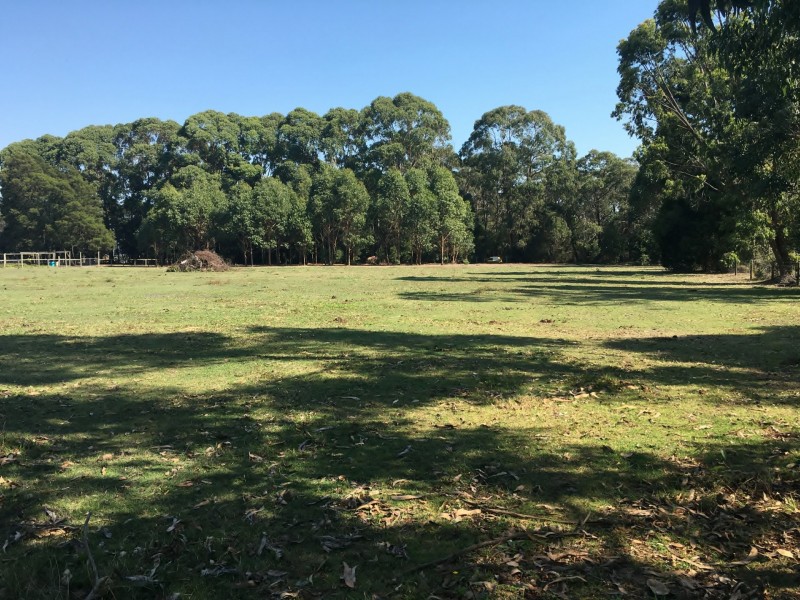 145 Old Beech Forest Road, Gellibrand VIC 3239