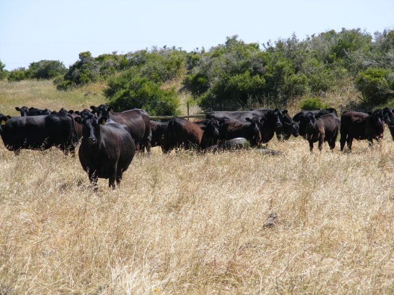 95 Iletts Road, Warrion VIC 3249