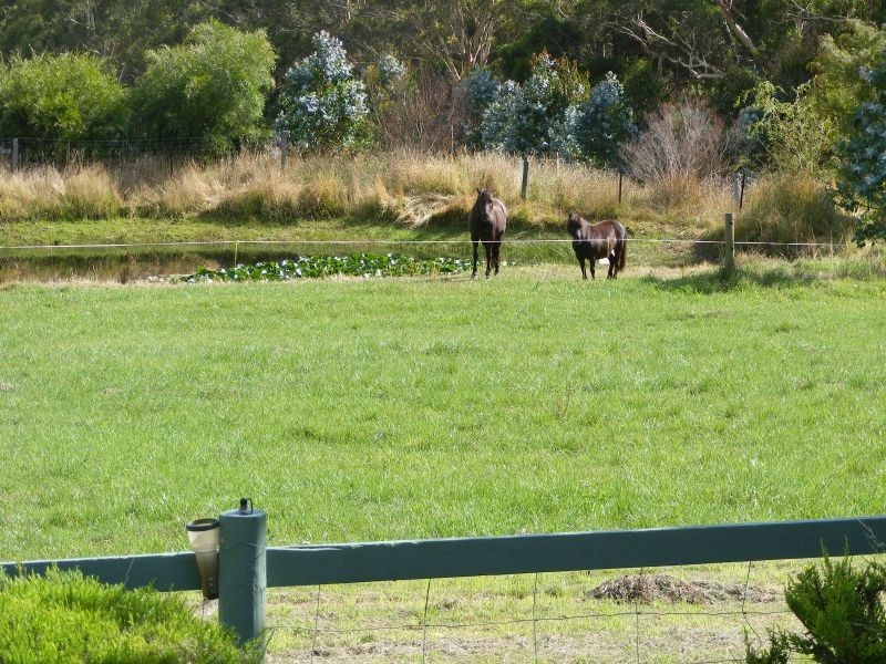 50 Rankins Road, Irrewillipe VIC 3249