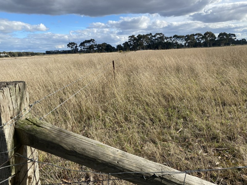 8 Oliver Street, Cressy VIC 3322