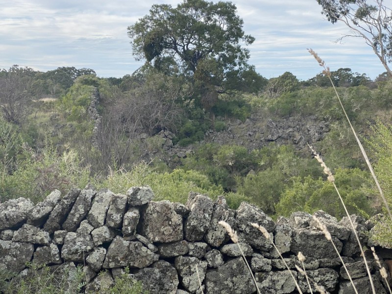 310 Harlocks Road, Pomborneit North VIC 3260