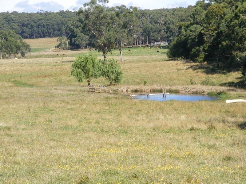 85 Meadowell Road, Gerangamete VIC 3243