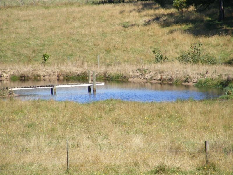 85 Meadowell Road, Gerangamete VIC 3243