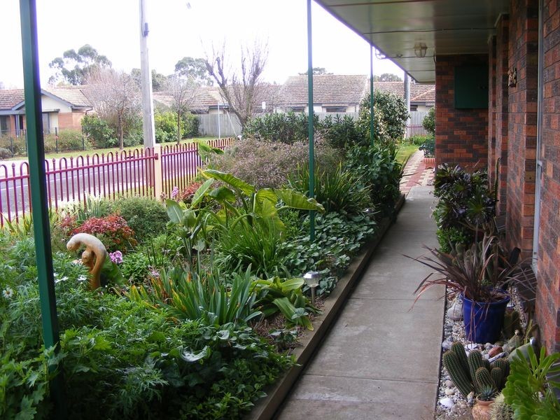 6 Little Wood Street, Colac VIC 3250