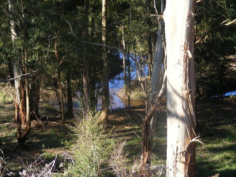 209 Centre Spur Road, Timboon VIC 3268