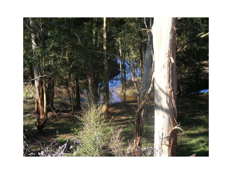 209 Centre Spur Road, Timboon VIC 3268