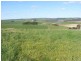 Lot 1 Great Ocean Road, Princetown VIC 3269
