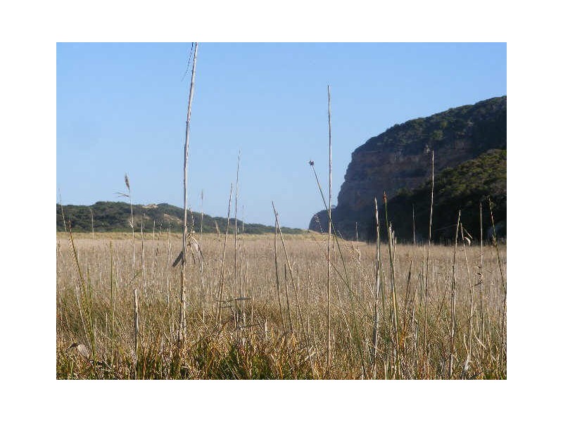 Lot 1 Great Ocean Road, Princetown VIC 3269