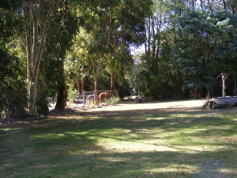 50 Bull Hill Road, Kawarren VIC 3249