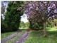 1895 Colac Lavers Hill Road, Kawarren VIC 3249