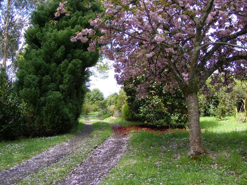 1895 Colac Lavers Hill Road, Kawarren VIC 3249