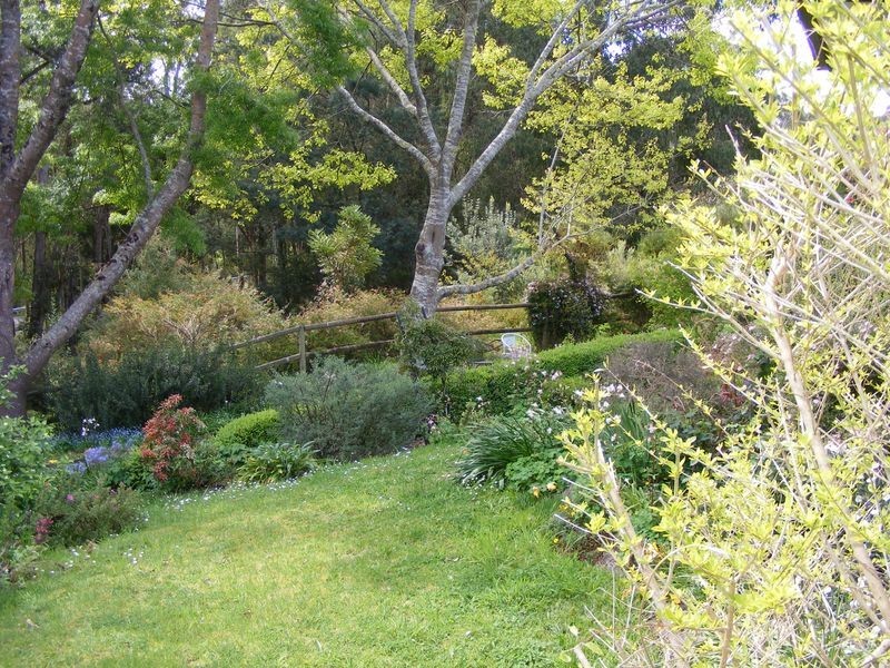 1895 Colac Lavers Hill Road, Kawarren VIC 3249
