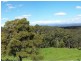 980 Colac Lavers Hill Road, Barongarook VIC 3249