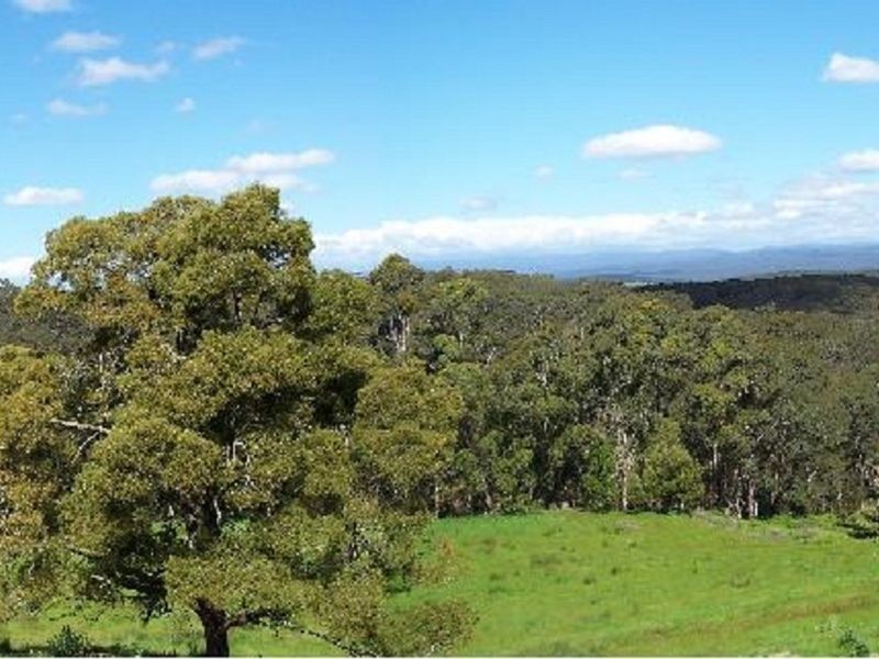 980 Colac Lavers Hill Road, Barongarook VIC 3249