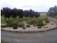 234 Collins Road, Irrewarra VIC 3249