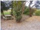 234 Collins Road, Irrewarra VIC 3249