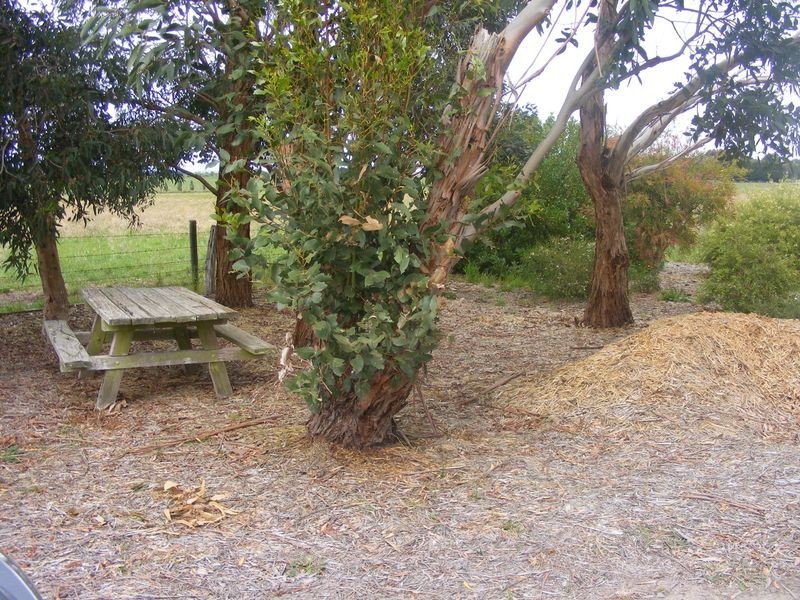 234 Collins Road, Irrewarra VIC 3249