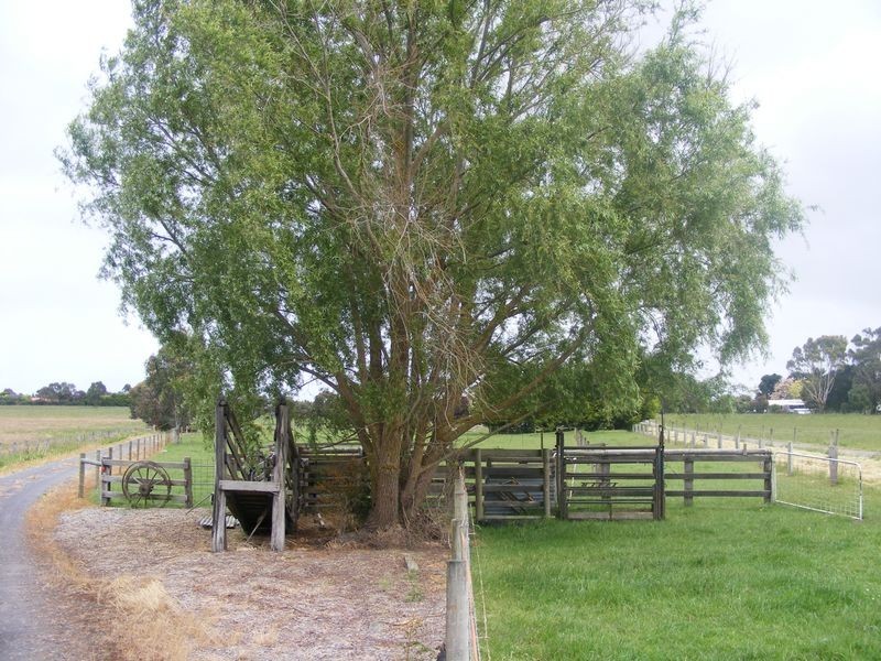 234 Collins Road, Irrewarra VIC 3249