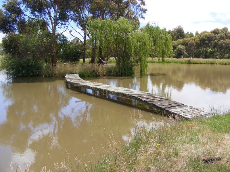 190 Collins Road, Irrewarra VIC 3249