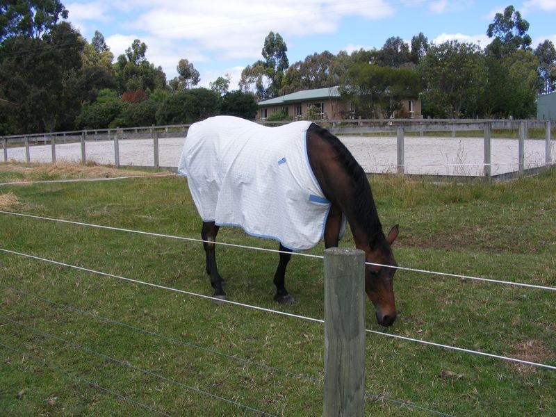 190 Collins Road, Irrewarra VIC 3249