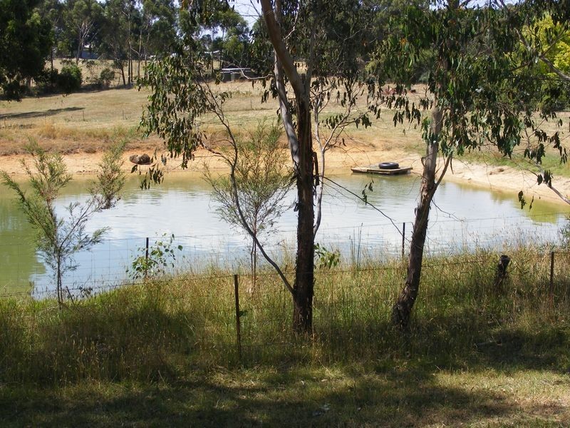 110 Bushbys Road, Barongarook VIC 3249