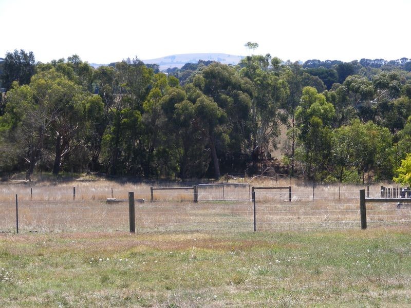 1/38 Murrell Street, Birregurra VIC 3242