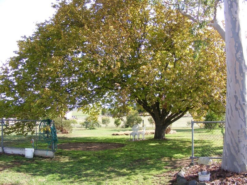 55 O’Sheas Road, Alvie VIC 3249