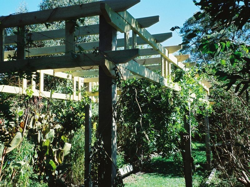 20 Main Road, Gellibrand VIC 3239