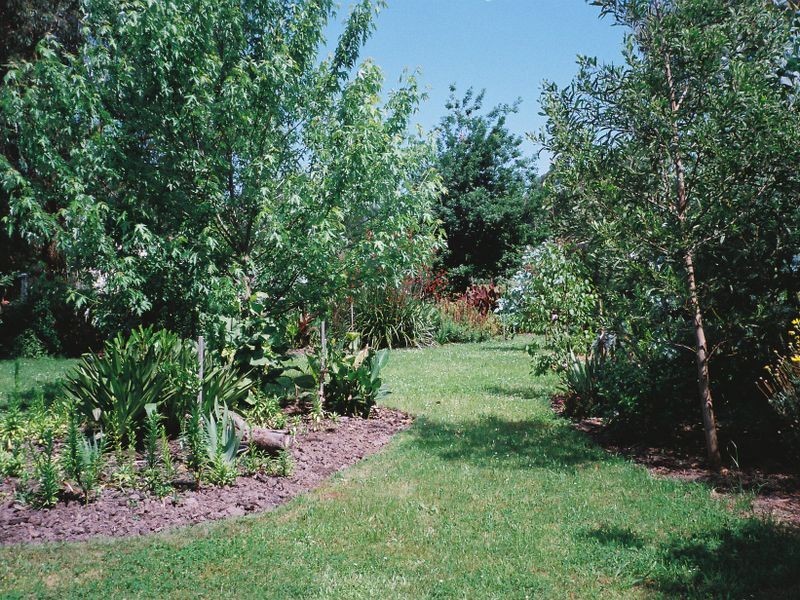 20 Main Road, Gellibrand VIC 3239