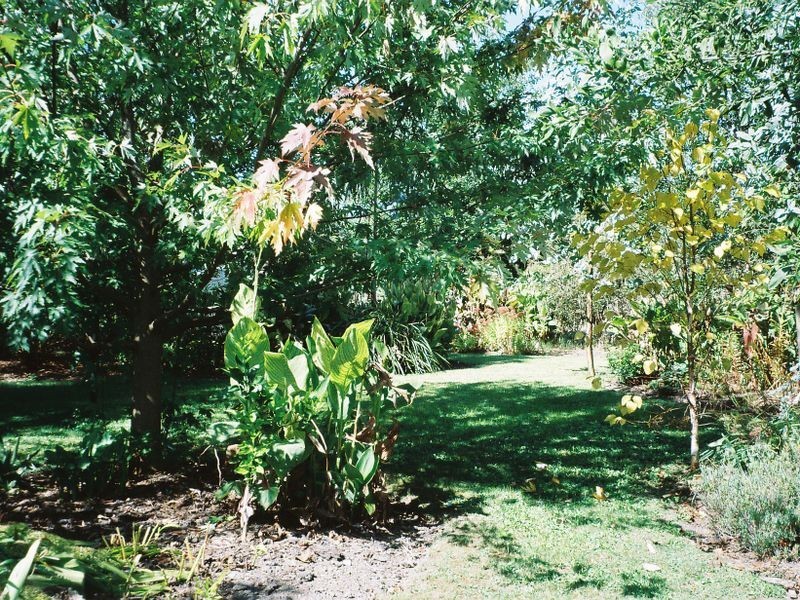 20 Main Road, Gellibrand VIC 3239