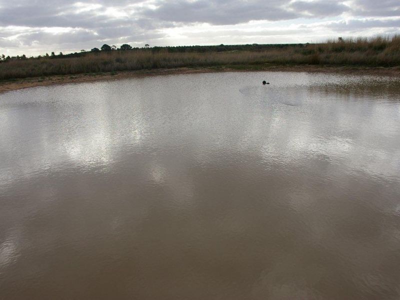 320 Wainewrights Lane, Winchelsea VIC 3241