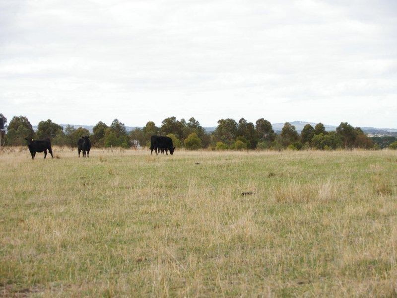 320 Wainewrights Lane, Winchelsea VIC 3241