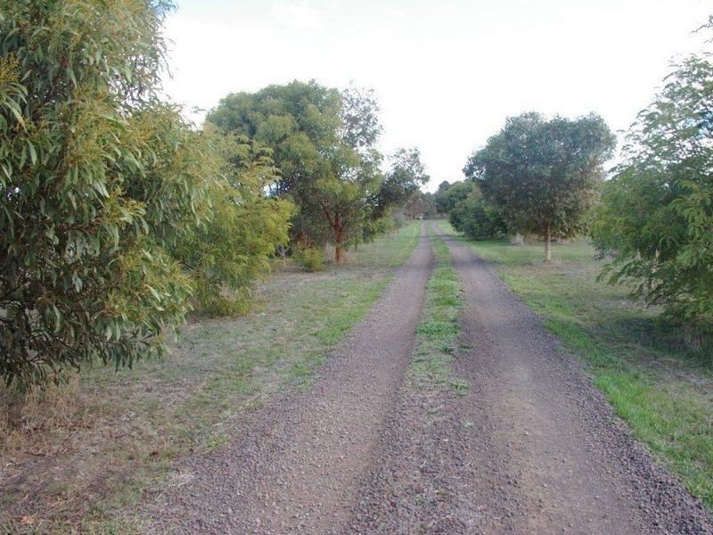 320 Wainewrights Lane, Winchelsea VIC 3241